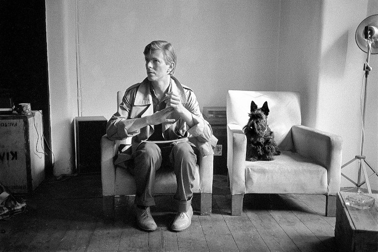 La editorial leonesa Chelsea publica el libro "El nacimiento de Bowie"