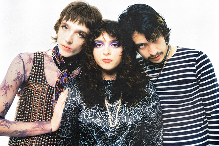 The Velveteers